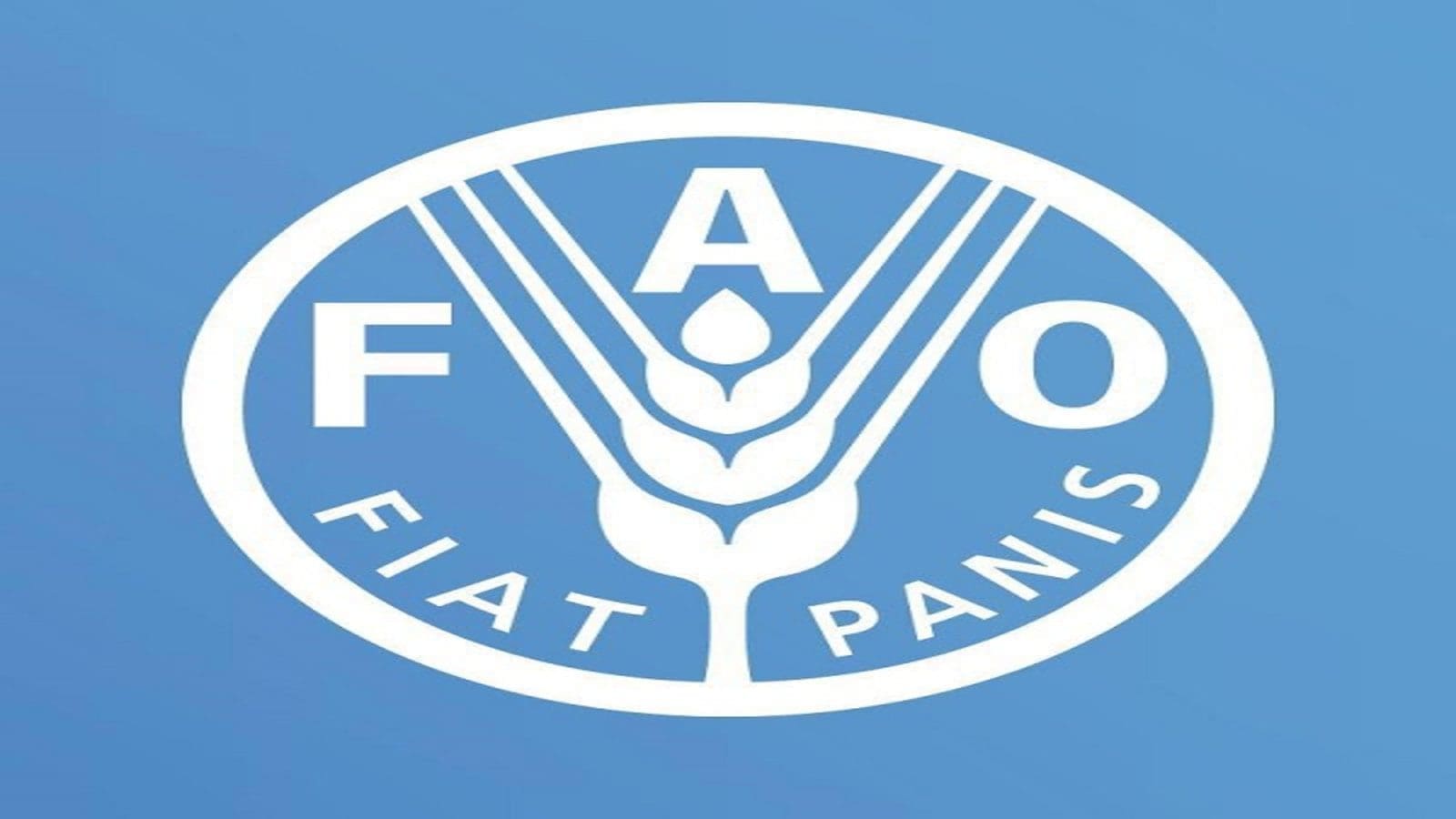 Color For Fao Ethiopian Commodity Exchange receives FAO support to incorporate wheat ...