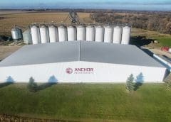 Thumbnail for Anchor Ingredients unveils new division to bolster pet food innovation